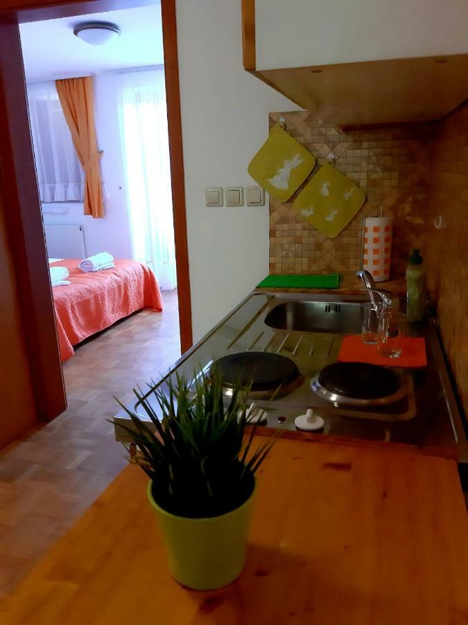 Guesthouse Pri Cebelici Lukovica pri Domzalah Ngoại thất bức ảnh
